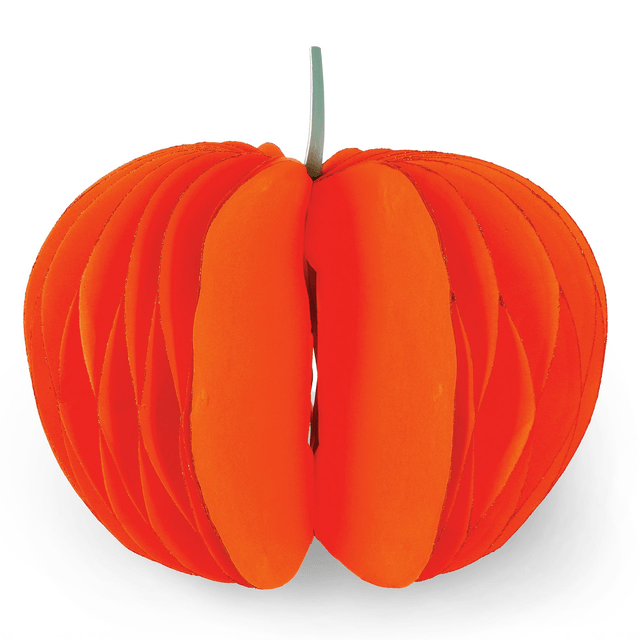 Zucca di Halloween pieghevole in carta - What a Pumpkin!